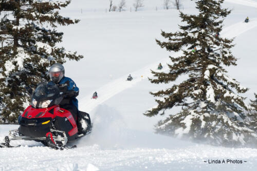 Snowmobiling - Try the Confederation Trail 