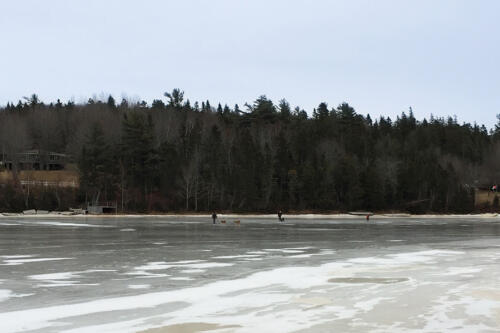 Skating on the Trout River !