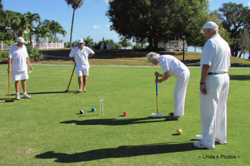 Croquet - Example court ... coming to Granville on the Water 