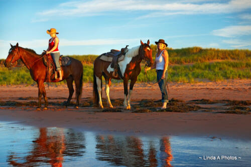 Trail Riding by horseback