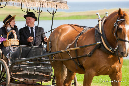 History abounds - Anne of Green Gables 