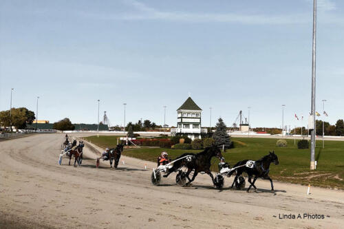 Horse Racing - trotters in Summerside and Charlottetown