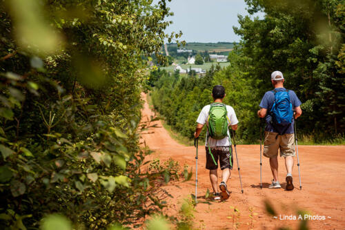 Trekking/Hiking