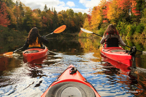 Kayaking ....  close at hand on the Trout and Stanley Rivers