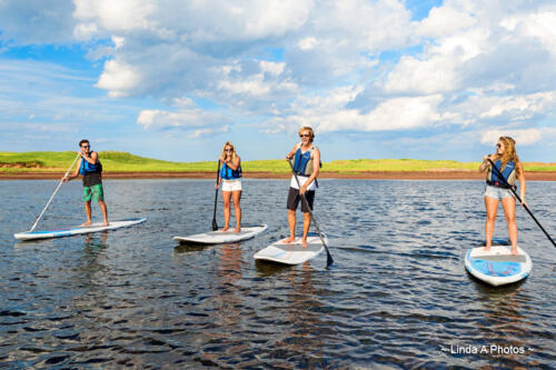 Stand Up Paddle Boarding