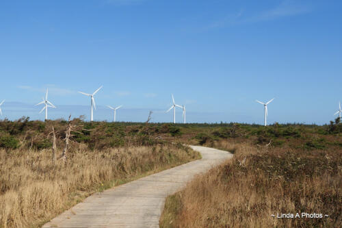 Plenty of wind power generated on PEI