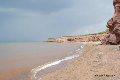 Cliffs and Beaches ... Common on PEI
