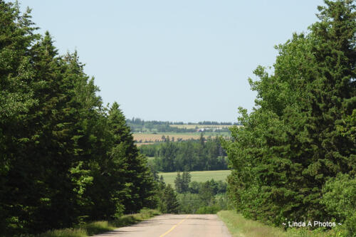 Rural PEI