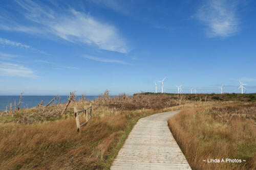 Boardwalk near the sea shore