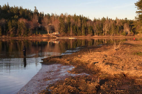 Fishing down on the Trout River